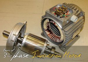 basics-of-three-phase-ac-induction-motor